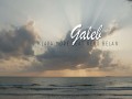 Galeb