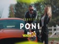 Poni