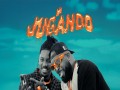 Ni Jugando