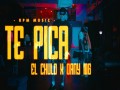 Te Pica
