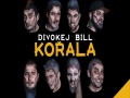 Kořala