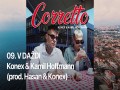 V Daždi