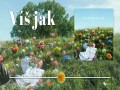 Víš Jak