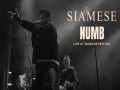 Numb