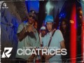 Cicatrices