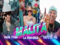 Malita