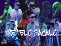 Metelo Sacalo