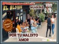 Por Tu Maldito Amor