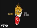 Carne