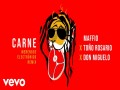 Carne (Merengue Electrónico Remix