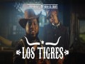 Los Tigres