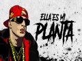 Mi Planta