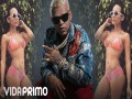 Que Rico Todo