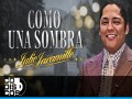 Como Una Sombra
