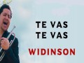 Te Vas  Te Vas