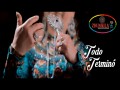 Todo Termino