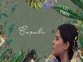 Capulí