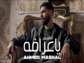 Ana Elghareb