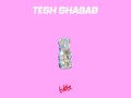 Tesh Shabab