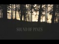 Sound Of Pines