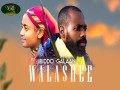 Walashee
