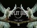 The Veil
