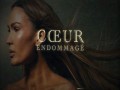Coeur Endommagé
