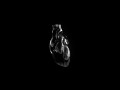 Cœur Noir
