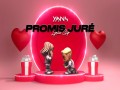 Promis Juré