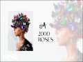 2000 Roses