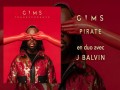 Pirate En Duo