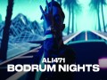 Bodrum Nights
