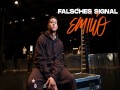 Falsches Signal