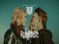 Ruinieren