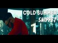 Cold Summer Snippet