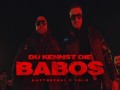 Du Kennst Die Babos