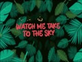 Fly