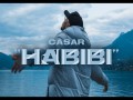 Habibi