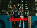 Hayabusa