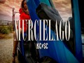 Murcielago