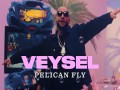 Pelican Fly