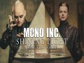 Shining Light