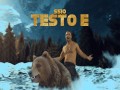 Testo E