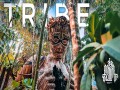 Tribe