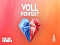 Voll Perfekt