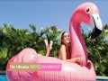 Me Roz Flamingo