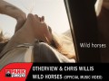 Wild Horses