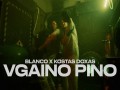 Vgaino Pino