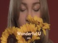 Wonderful U