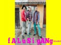 Falusi Gang